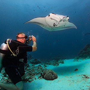 maldives manta diving cruise - lumira cruises